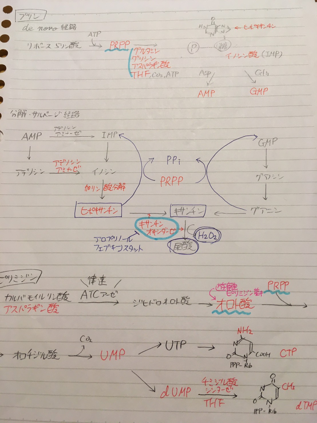 国試体験談 薬理 85 自分にあった勉強を見つけるには 愛知学院大学6年